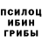 Псилоцибиновые грибы Psilocybe Intel Fanboy.