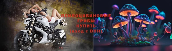 гидра Армянск
