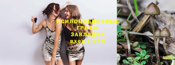 гидра Армянск