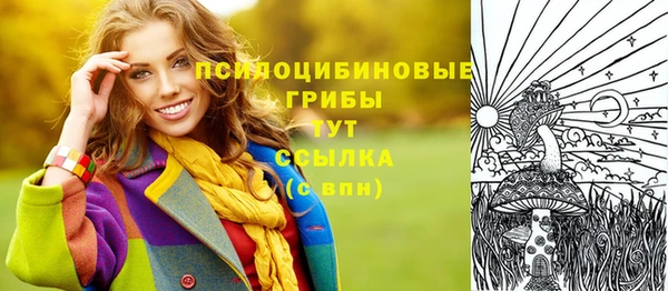 MESCALINE Аркадак