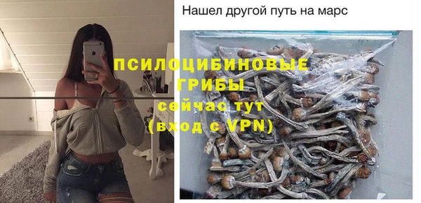 MESCALINE Аркадак