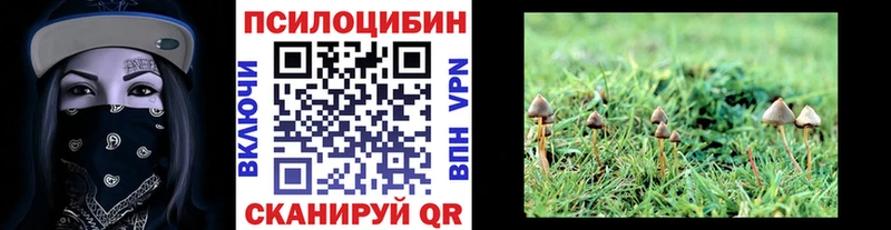 Галлюциногенные грибы MAGIC MUSHROOMS  цена наркотик  Лукоянов 